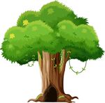 茂盛大树下的树洞