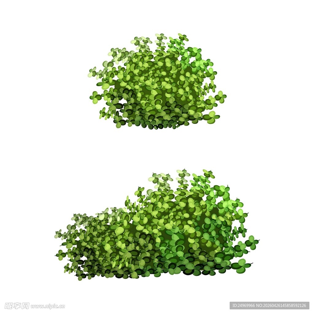 两簇翠绿植物