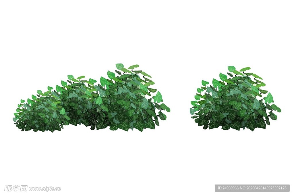 三株绿色灌木植物