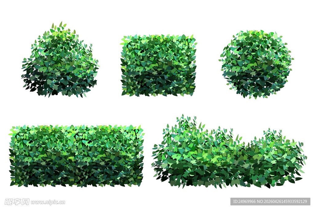 多样绿植灌木造型展示