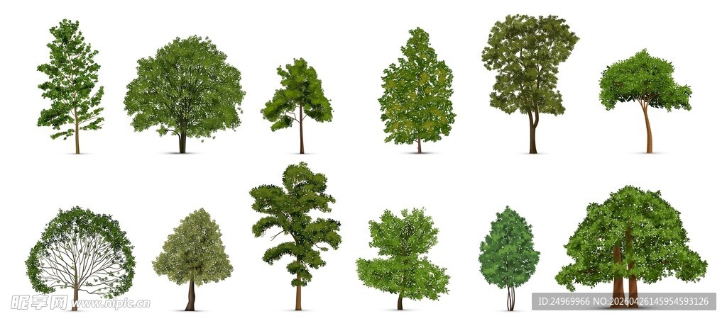 多样树木插画集合