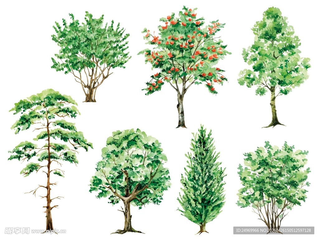 多样树木插画