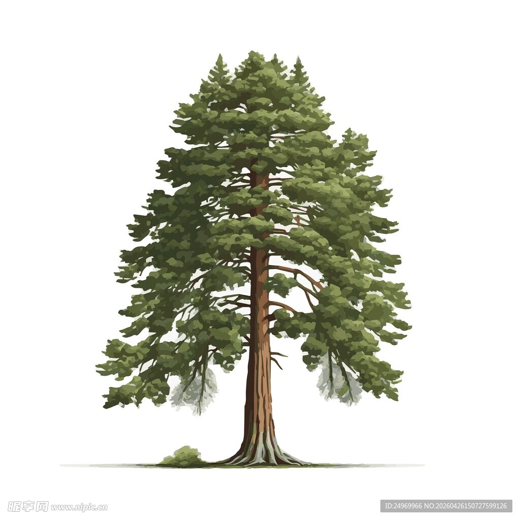 三棵绿色树木插画