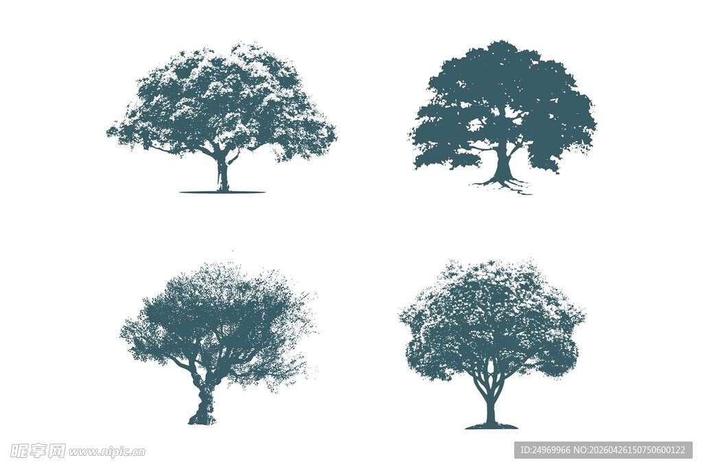 四棵不同形态树木剪影