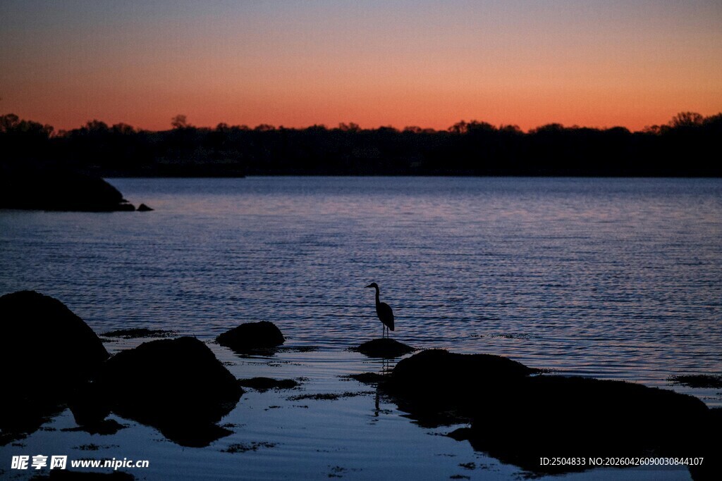 夕阳下的静谧湖岸风光