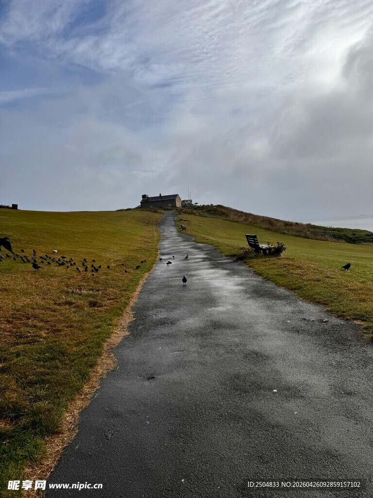 雨后乡间小路 风景独好