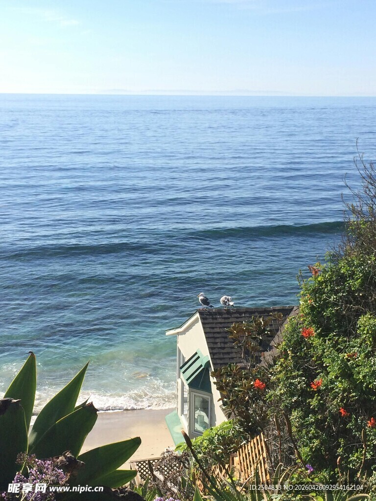 海边景致 绿植掩映的小屋