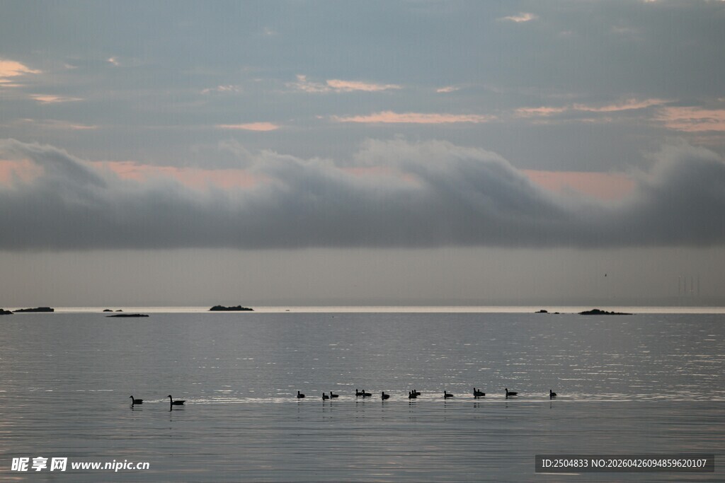 海上飞鸟伴云景