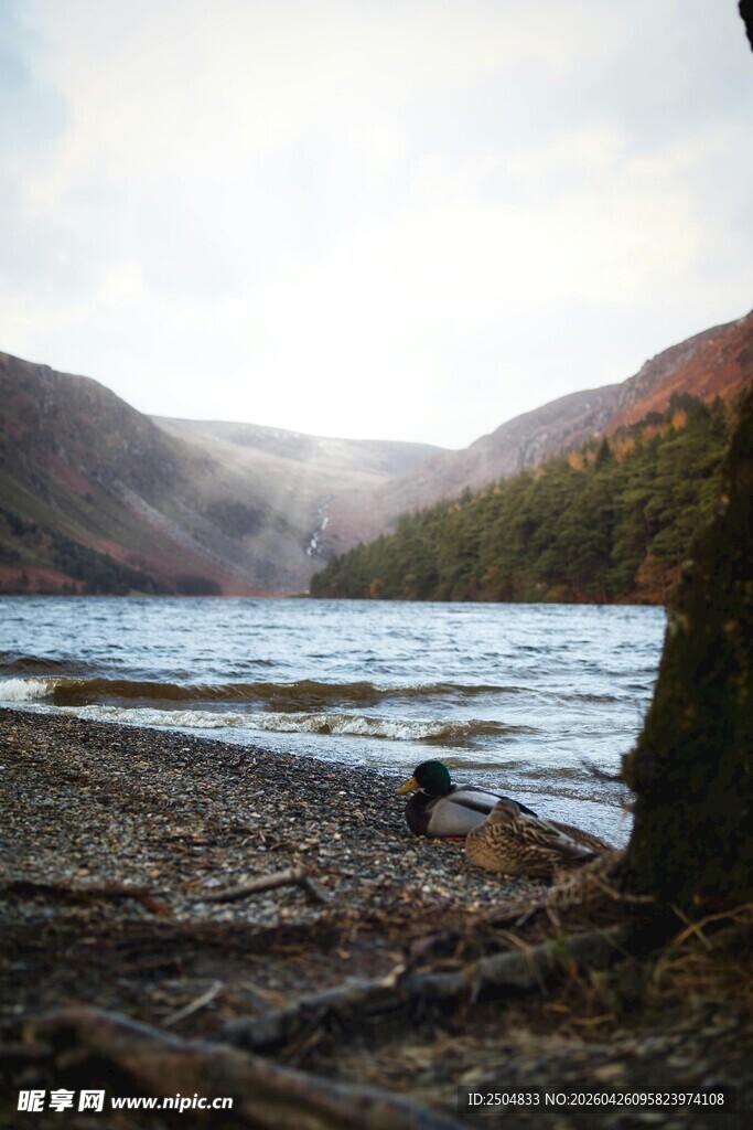 湖畔山间 静谧自然景致