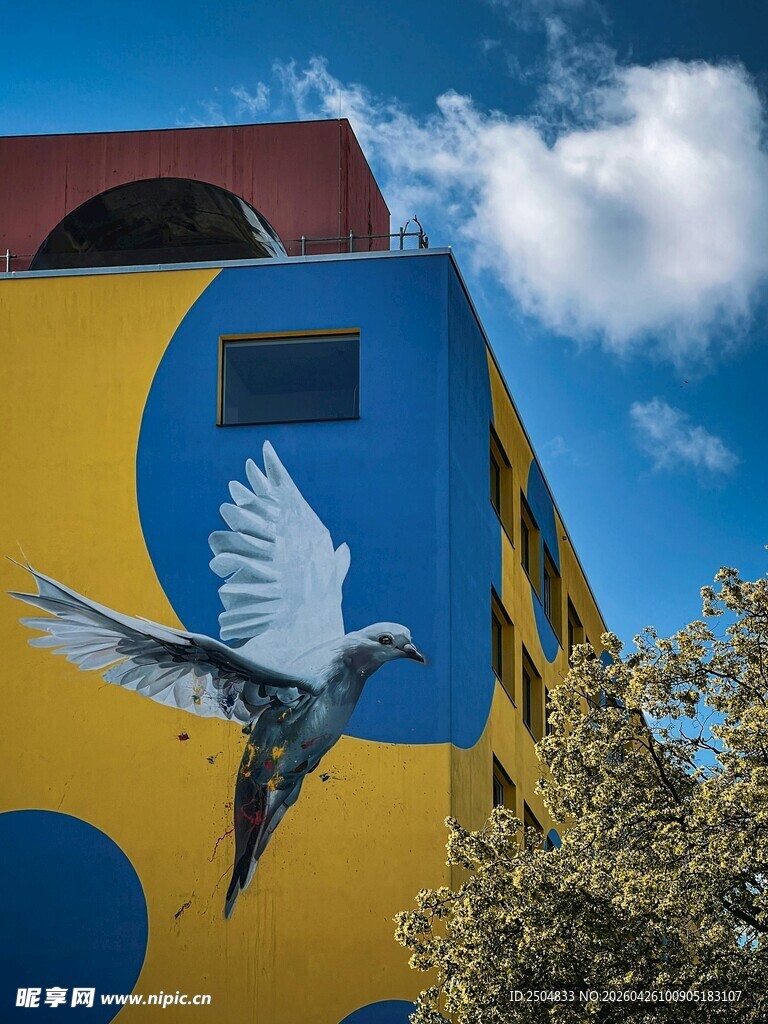 飞鸟掠过多彩建筑