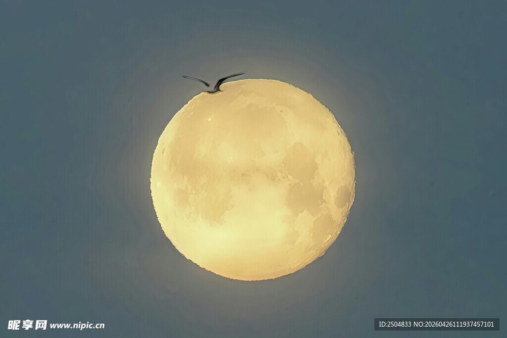 夜空中的明亮圆月