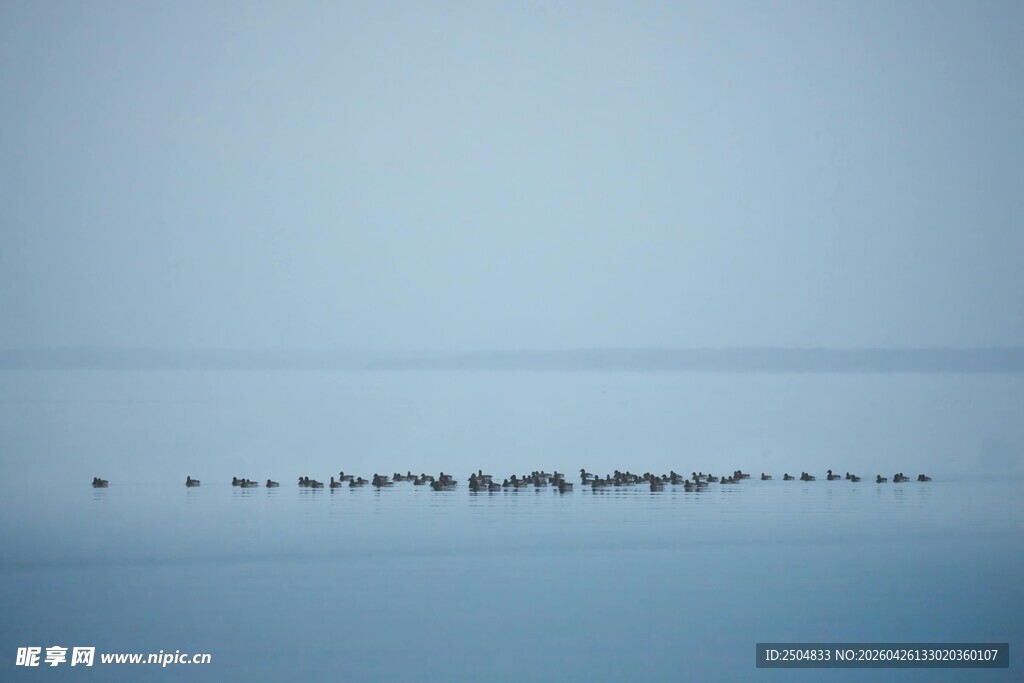 宁静海面船只航行画面