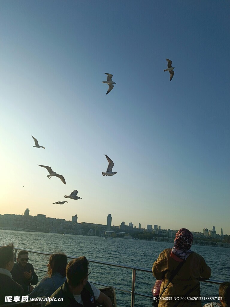 海边赏景的人群与飞翔海鸥