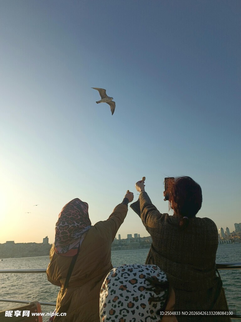 海边女性与海鸥互动瞬间