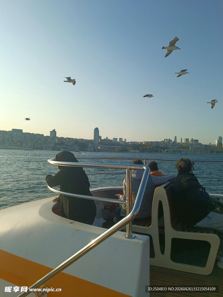海上 船赏景飞鸟相伴