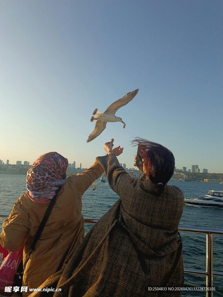 海边喂海鸥的欢乐瞬间
