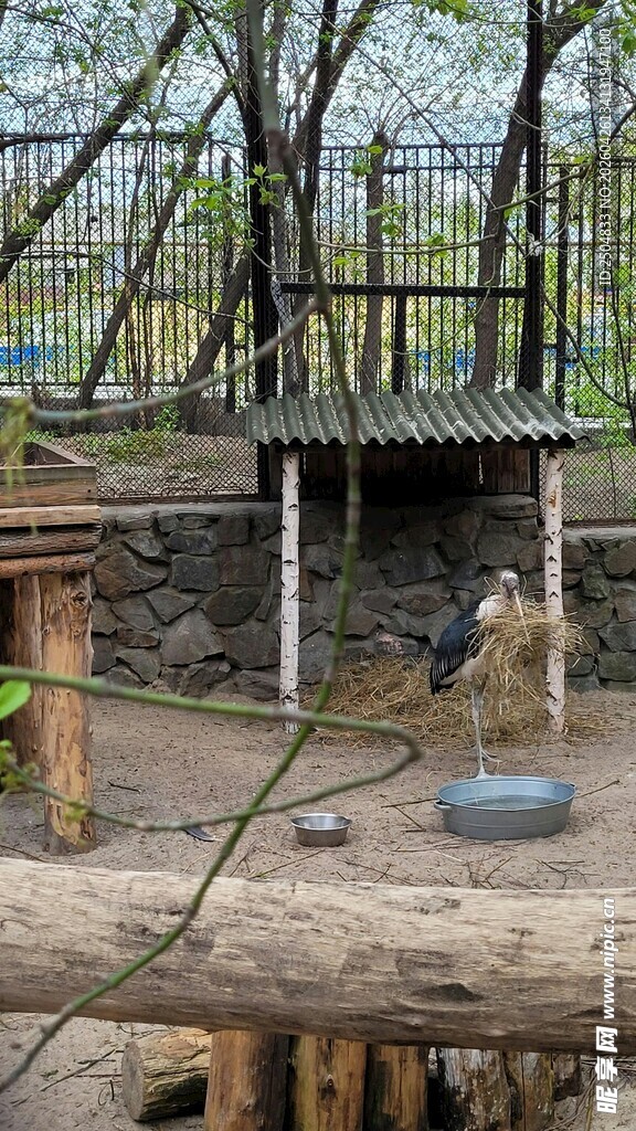 动物园内动物栖息场景