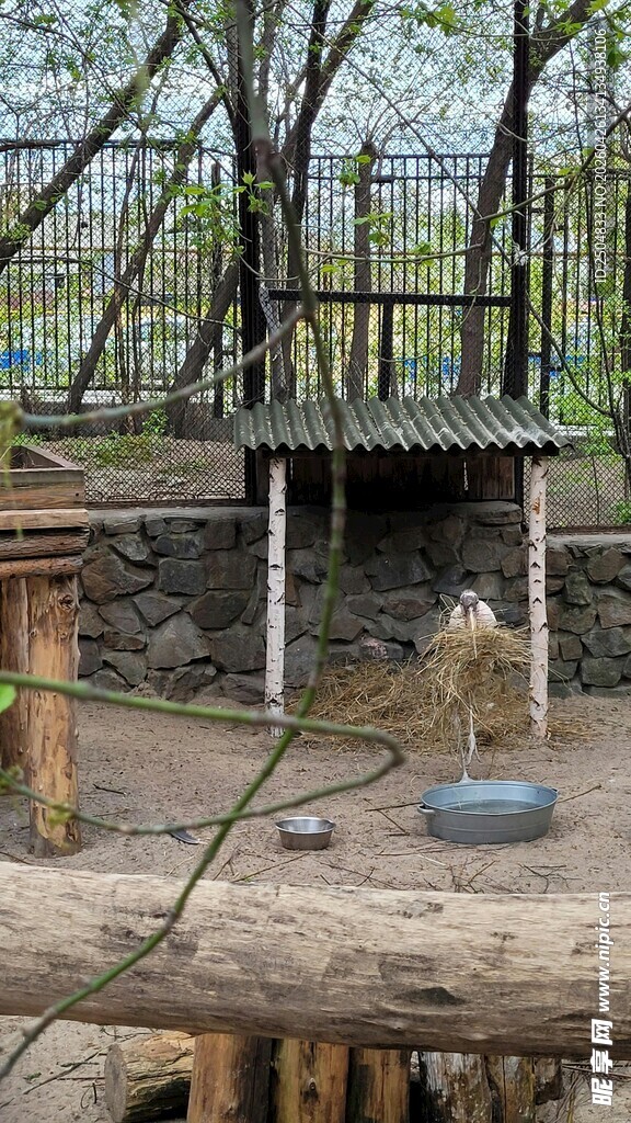 乡村小屋旁的宁静场景
