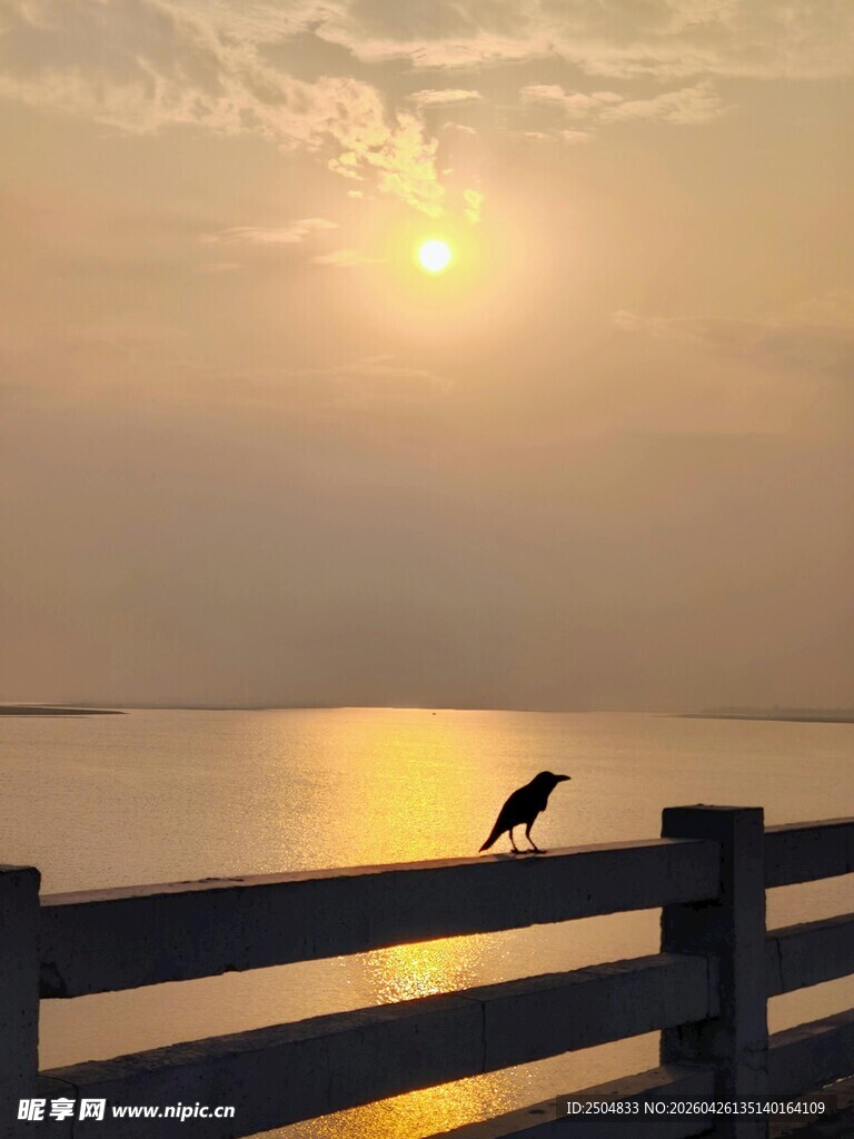 夕阳下飞鸟立于围栏