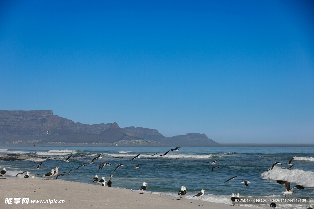 美丽海滨沙滩风景