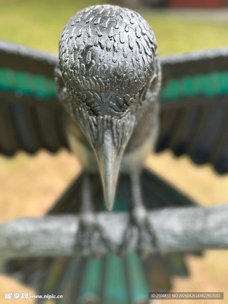 灰羽小鸟展翅特写