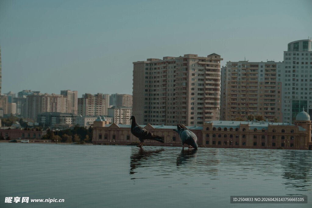城市水域中的雕塑景观