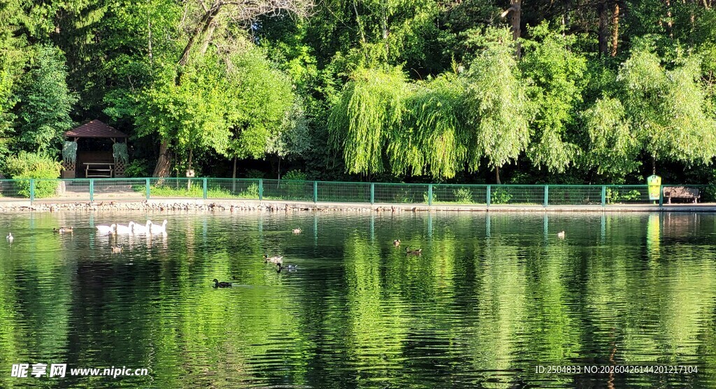 宁静湖畔的自然倒影美景