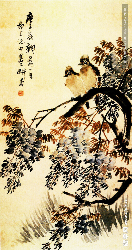 白头翁紫藤图