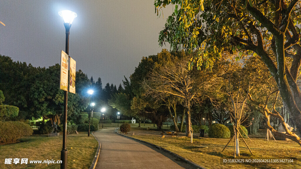 夜晚公园小路的静谧景象