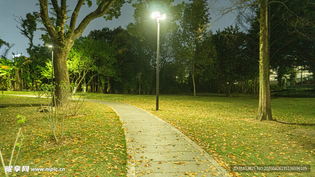 夜晚公园中的幽静小径