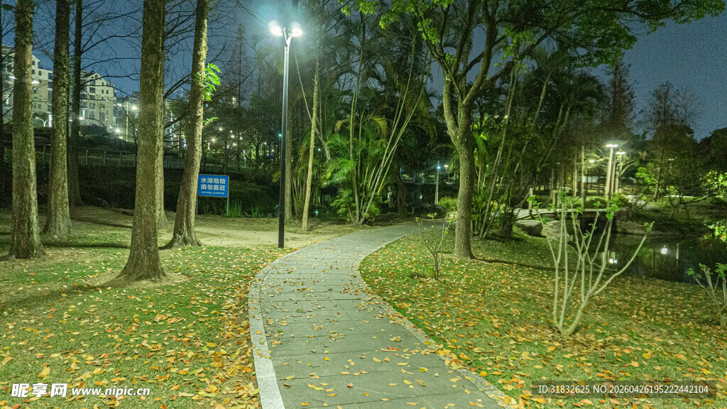 夜晚林间幽静的小径