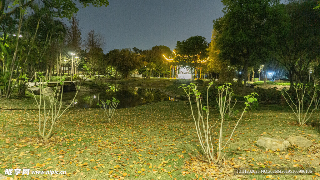 夜晚园林绿植景致