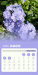 紫色绣球花日历页面