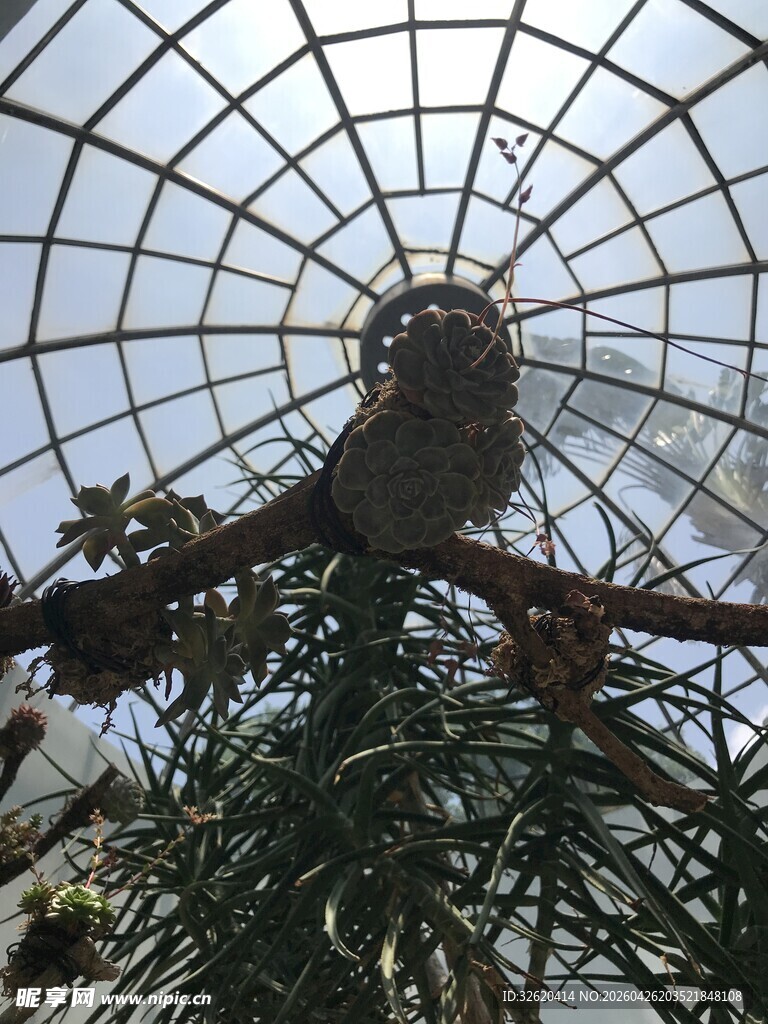 绿植景观