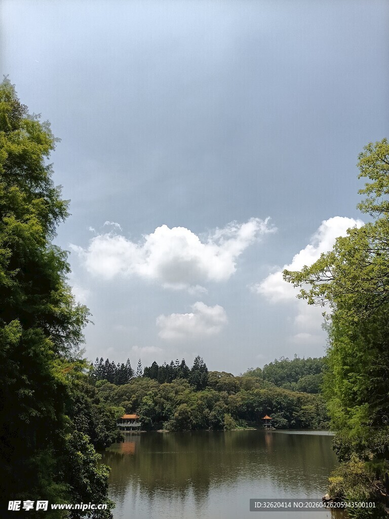 湖畔绿树环绕的秀丽景致