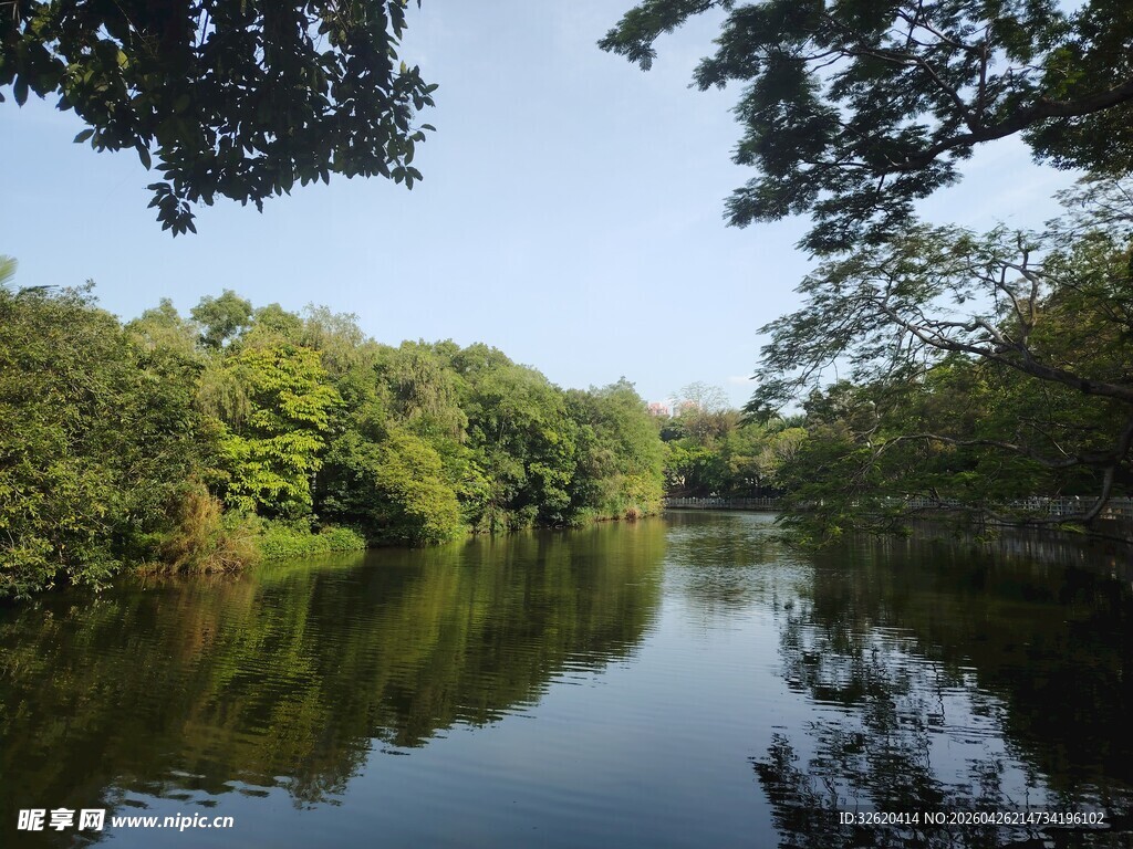 宁静河畔的绿意景致