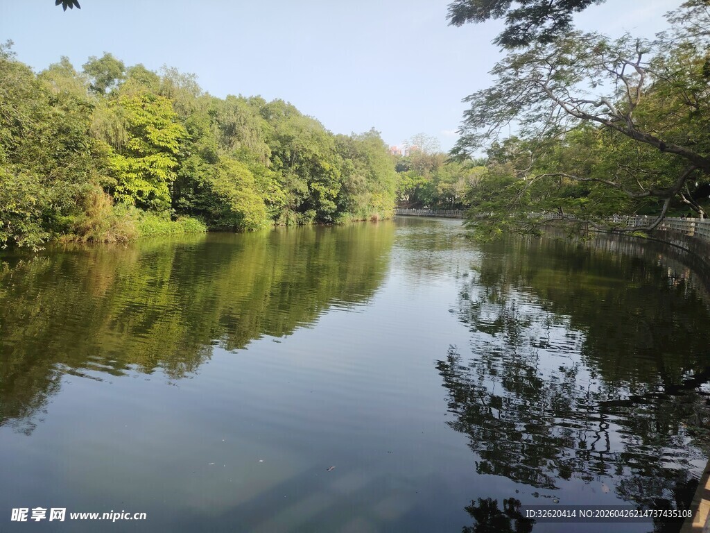 宁静湖畔绿树倒映