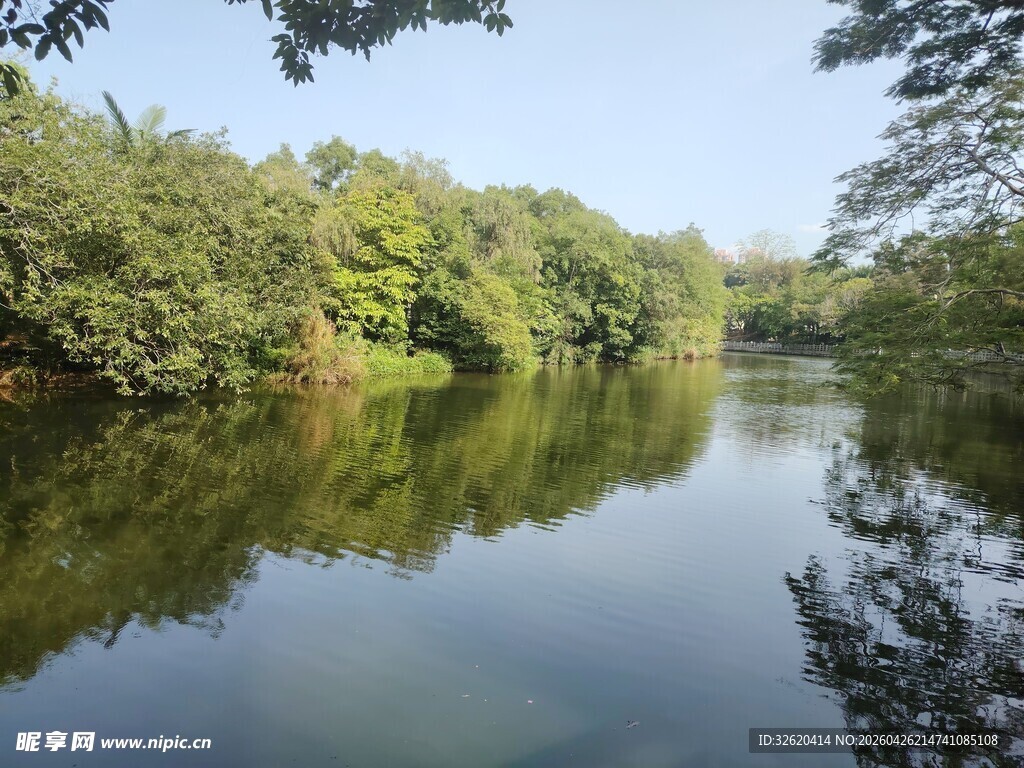 宁静河畔绿树倒影美景