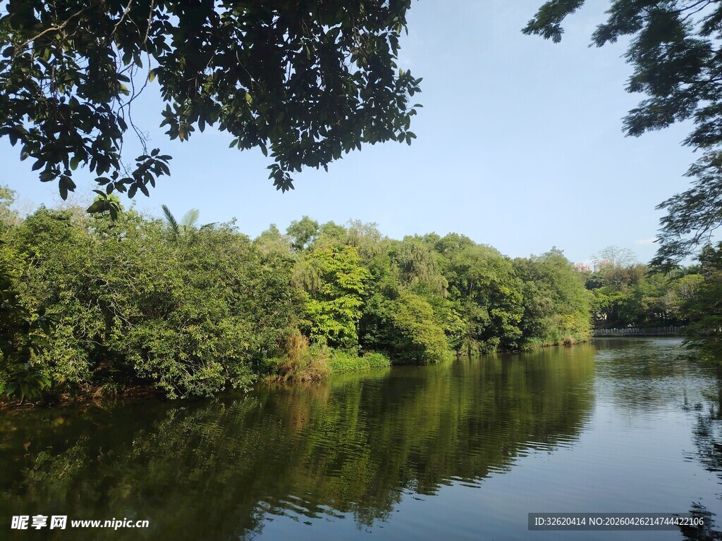 宁静湖畔绿树环绕的美景
