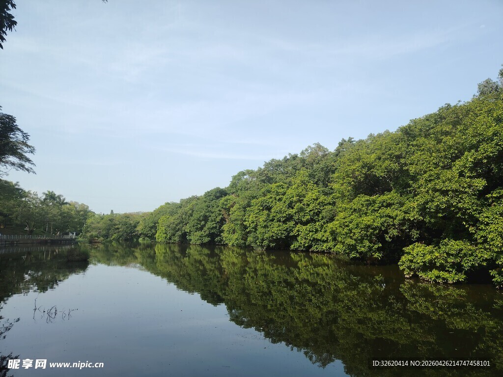 宁静河畔绿意盎然的风光