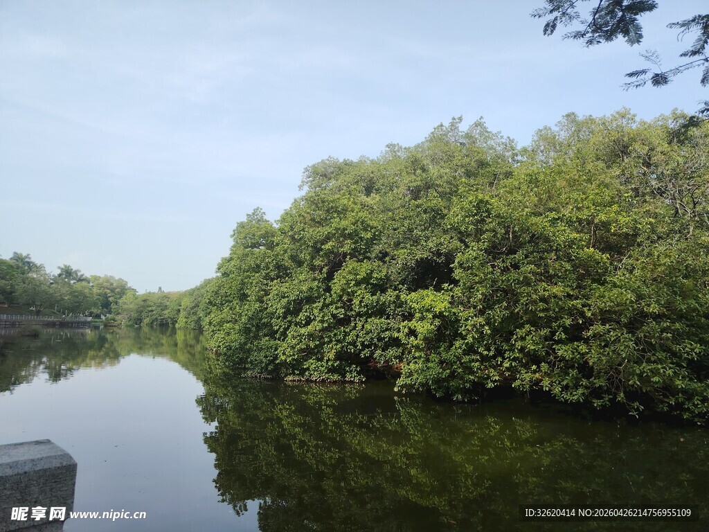 宁静河畔绿意盎然的景致