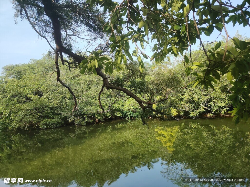 静谧河畔绿意盎然的景致