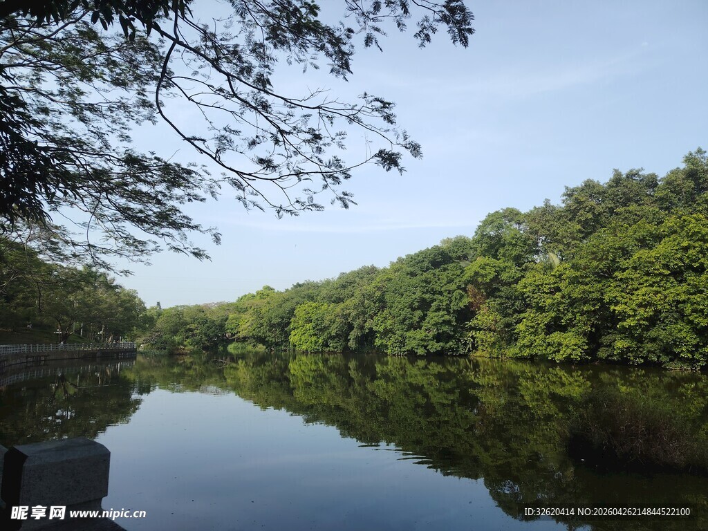 宁静湖畔森林倒影美景