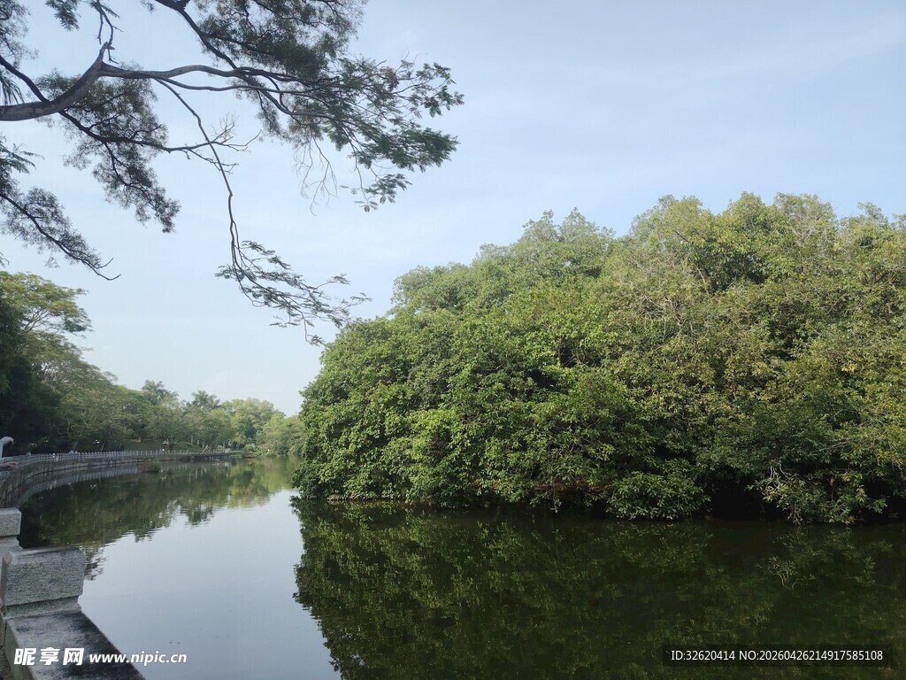 宁静河畔绿树环绕的美景