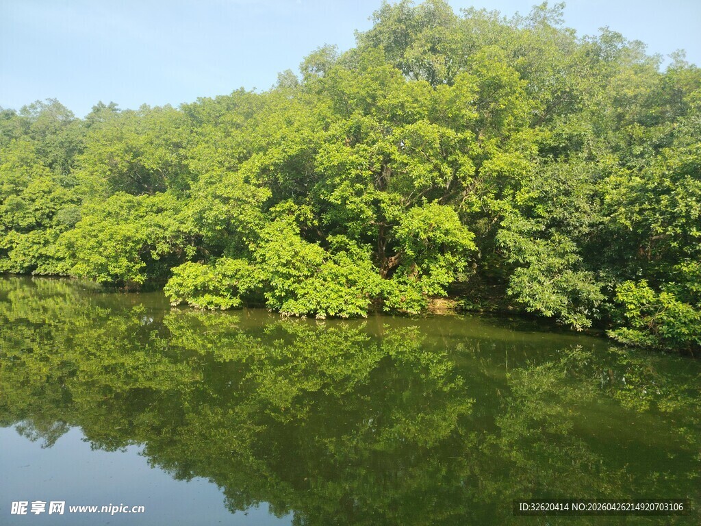 河畔葱郁绿树倒映水面
