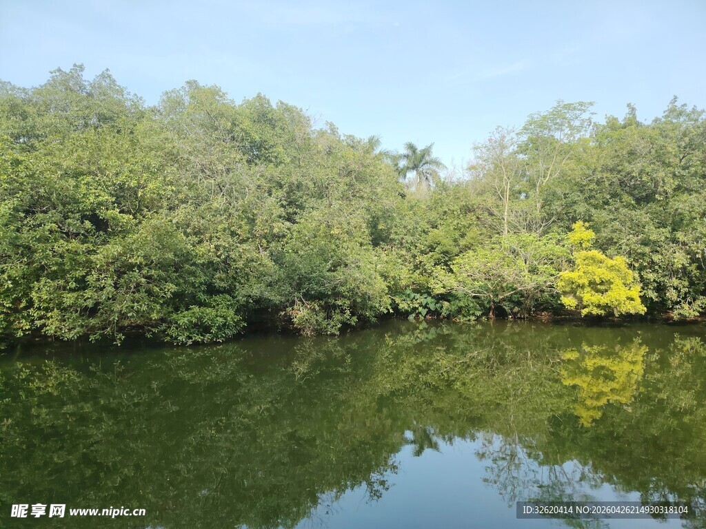 宁静河畔绿意盎然的景致