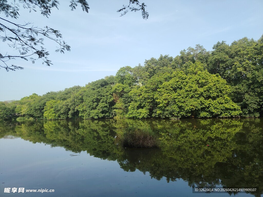 宁静湖畔绿树倒影美景