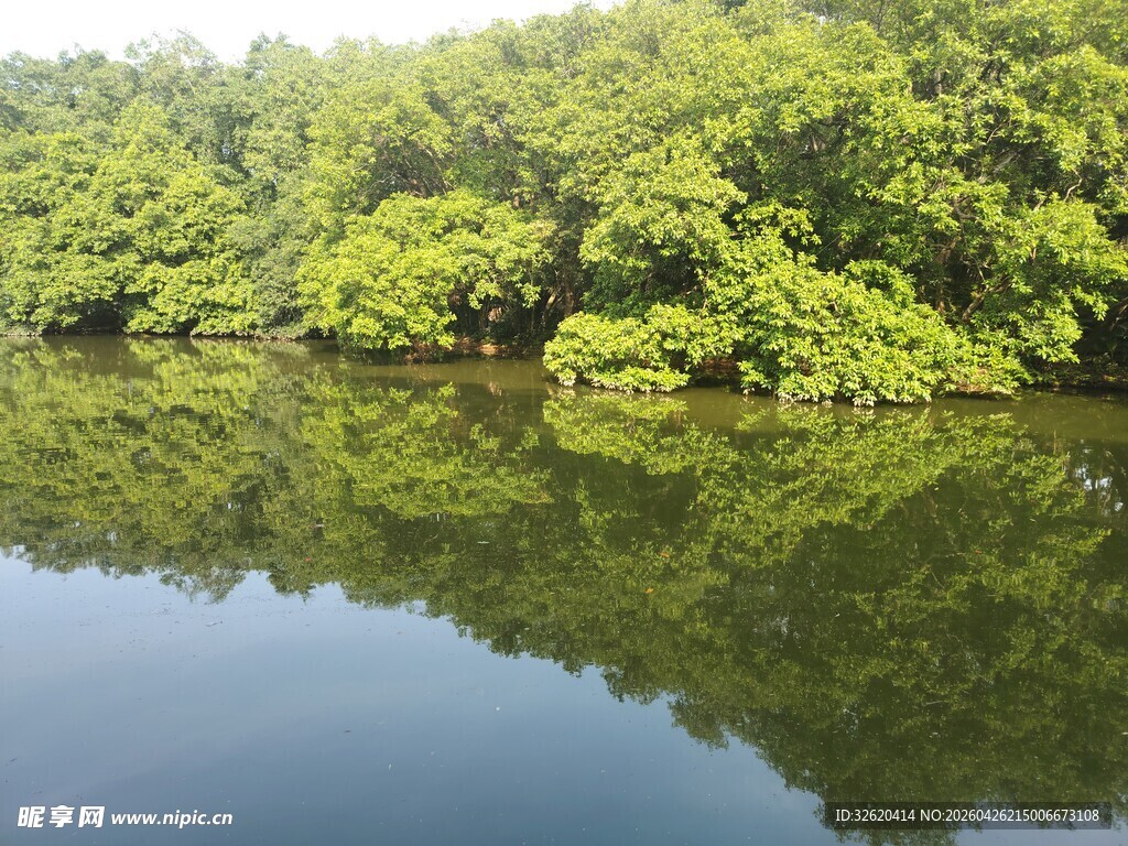 宁静湖畔绿意盎然的景致