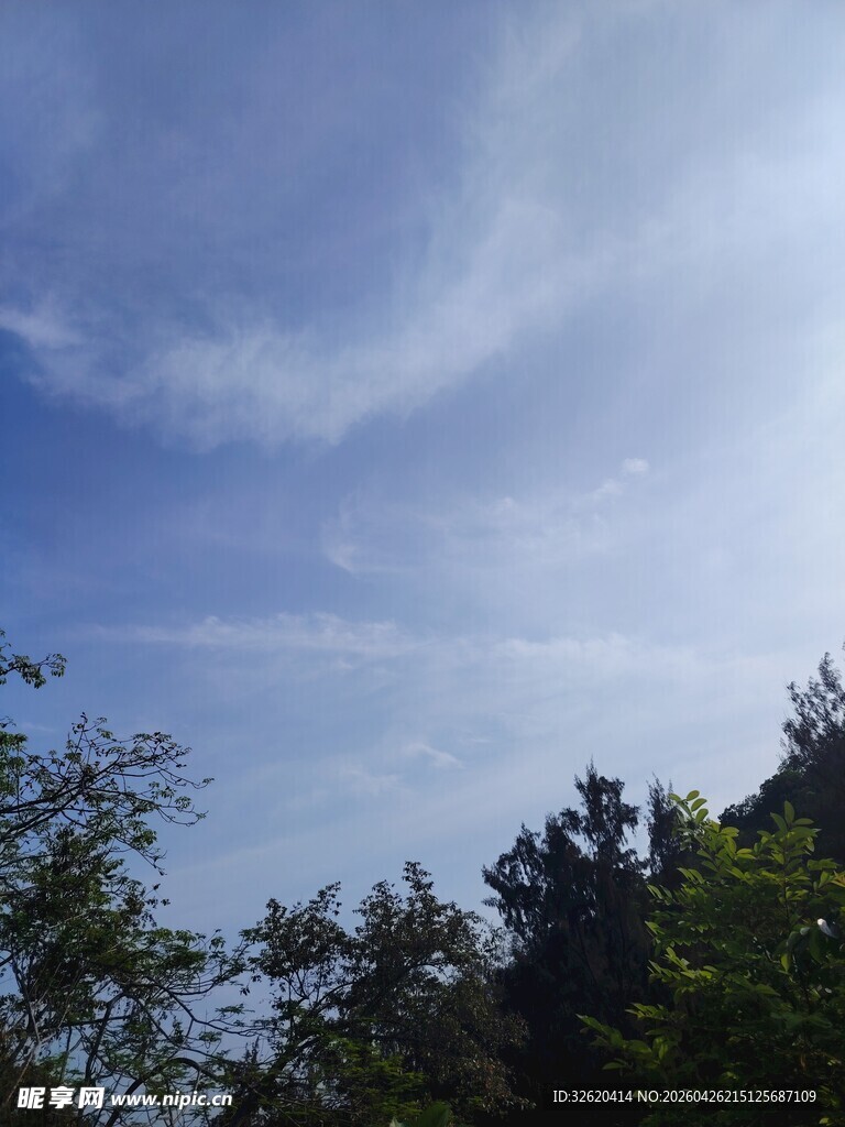 蓝天绿树间的清新景致