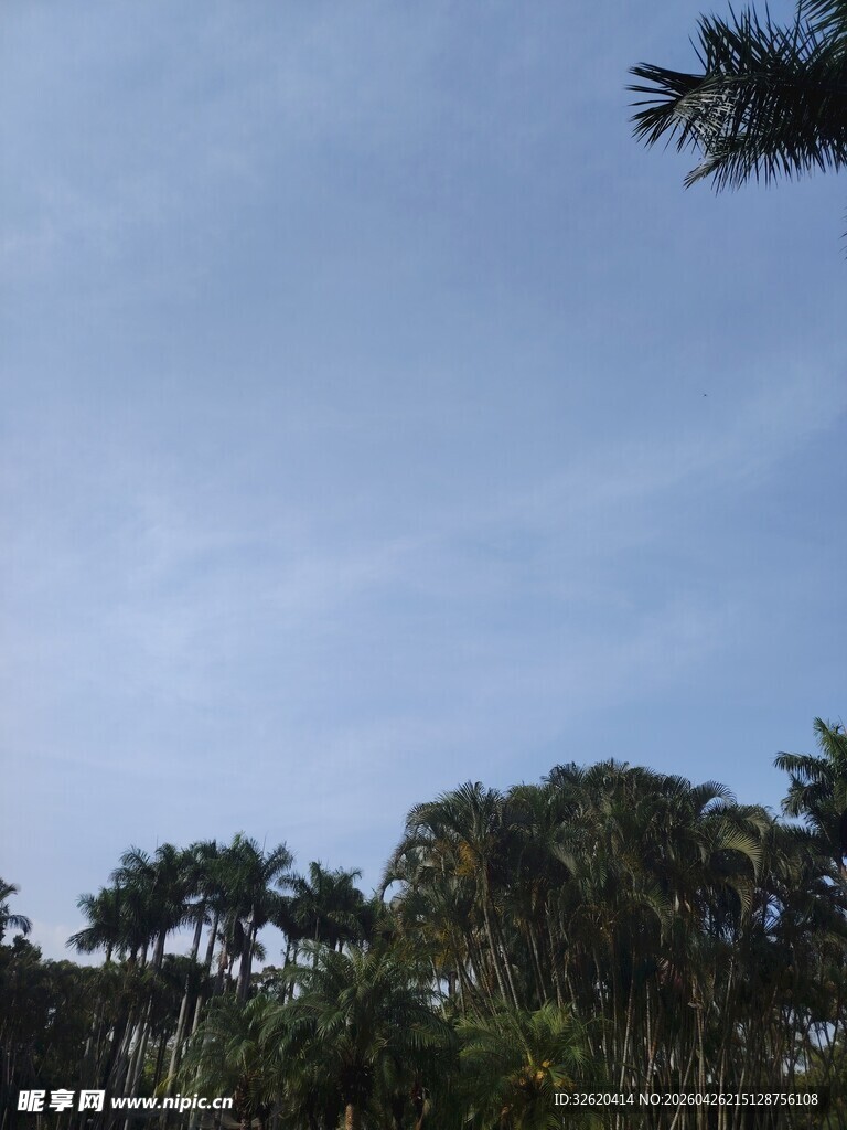 蓝天绿树景致